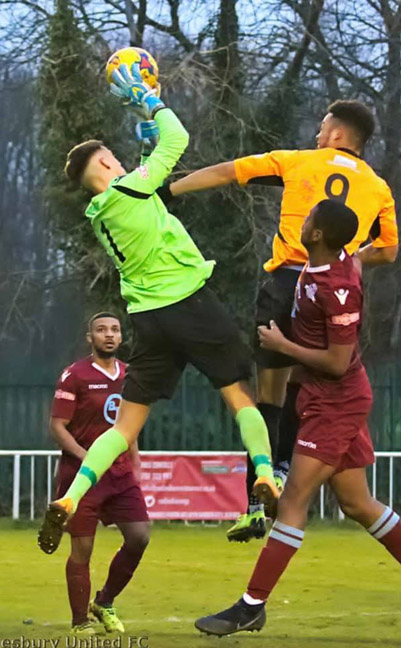 lewis-todd-about3 currently playing as No1 for the 1st team at Welwyn Garden City FC in Southern League Division 1 Central